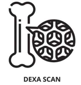 DEXA and QCT system