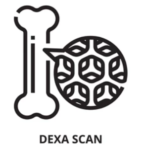DEXA icon
